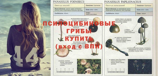 ALPHA-PVP Зеленокумск